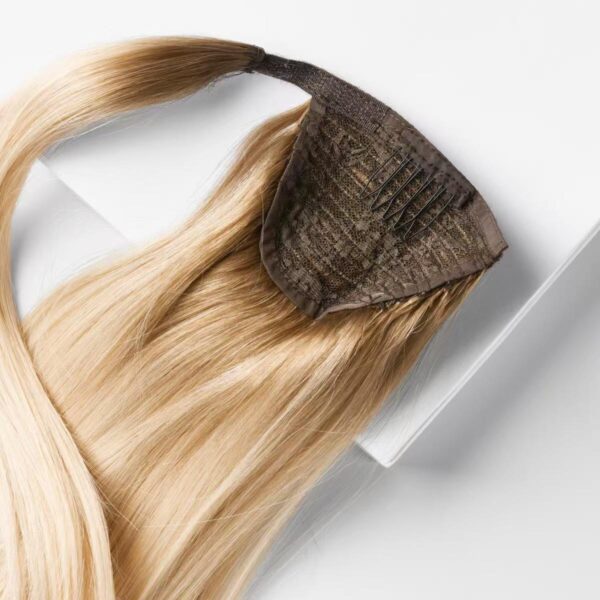 Ponytail - Image 2